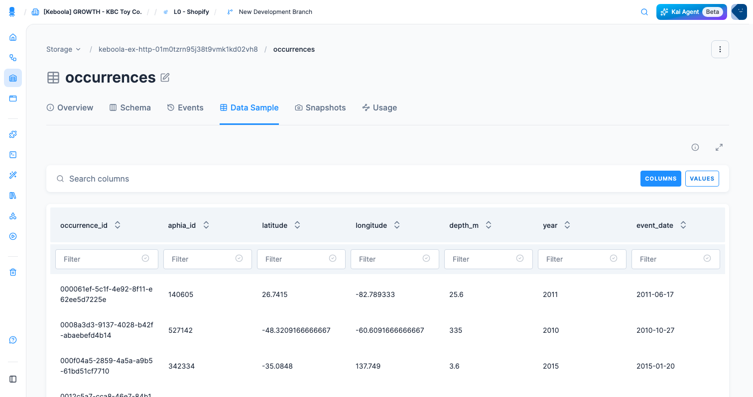 Screenshot - Table detail with data sample