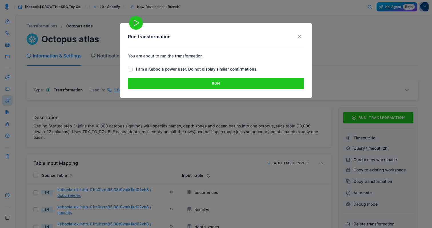 Screenshot - Running the transformation